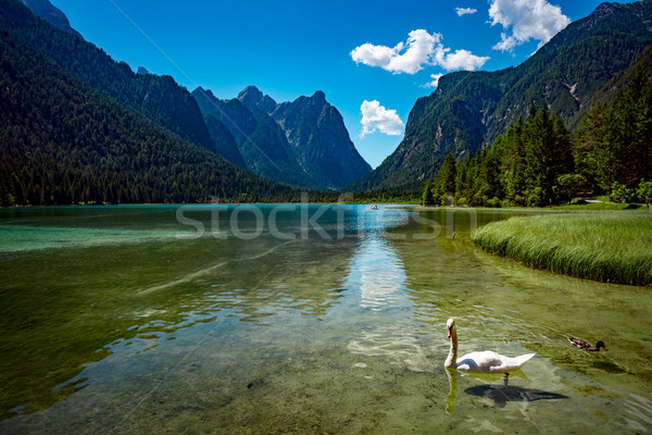 Lake Dobbiaco in the Dolomites, Italy Stock photo © cookelma
