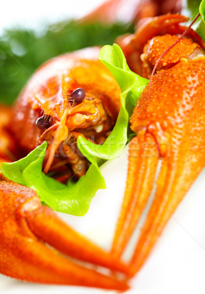 Boiled crawfish on a white background Stock photo © cookelma