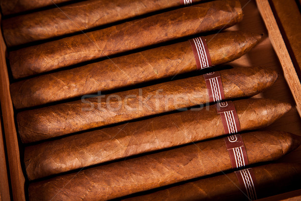 Cigars in humidor Stock photo © cookelma