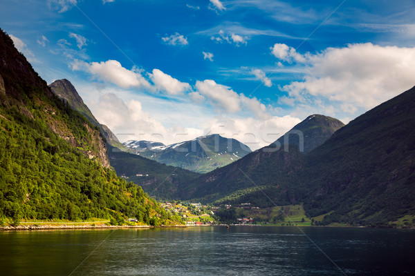 Stock fotó: Norvégia · gyönyörű · természet · hosszú · ág · el