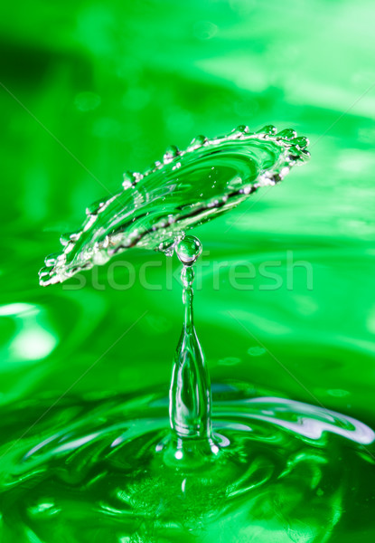 Waterdruppel naar beneden natuur licht groene drinken Stockfoto © cookelma