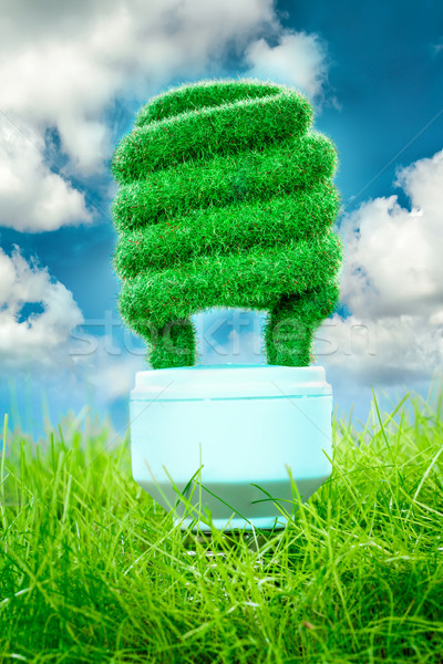 Eco ampul yeşil ot mavi gökyüzü gökyüzü arka plan Stok fotoğraf © cookelma