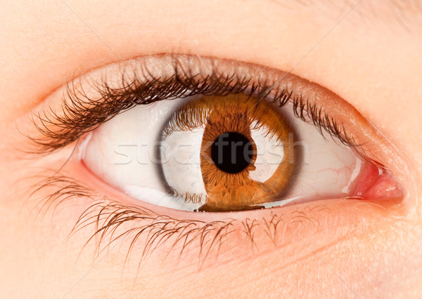 Auge menschlichen Frau Frauen Haut Stock foto © cookelma