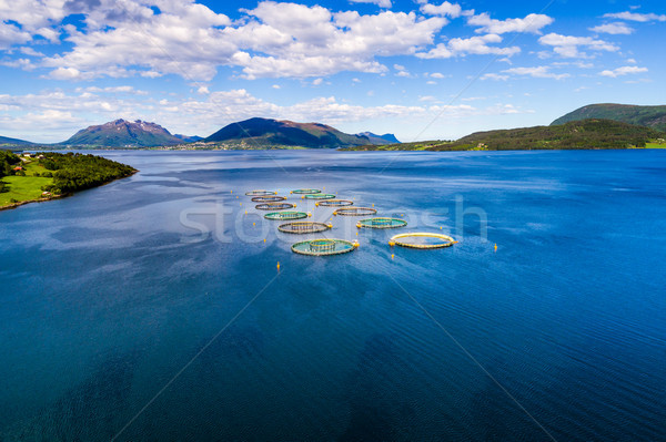 Farm salmon fishing Aerial FPV drone photography. Stock photo © cookelma
