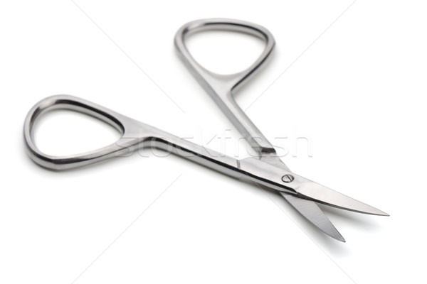 Nail scissors Stock photo © coprid