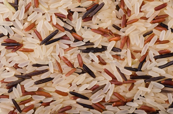 Rice mix Stock photo © coprid