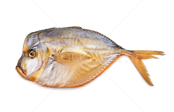 Moonfish Stock photo © coprid