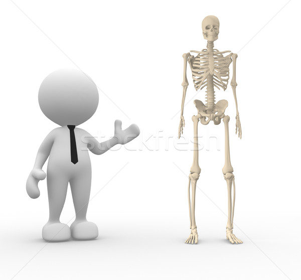 Foto stock: Esqueleto · 3d · pessoas · homem · pessoa · empresário · medicina