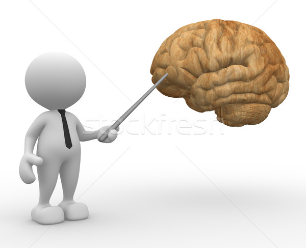 Brain Stock photo © coramax