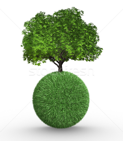 Fa növekvő gömb 3d render illusztráció fű Stock fotó © coramax
