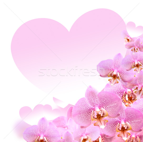 Orchid And Heart Stock photo © cosma