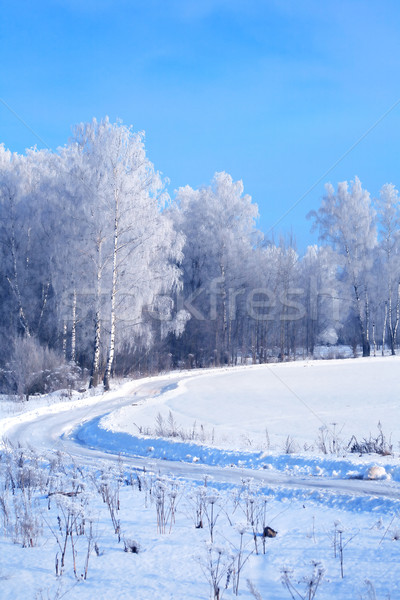 Stok fotoğraf: Kış · manzara · dondurulmuş · orman · mavi · gökyüzü