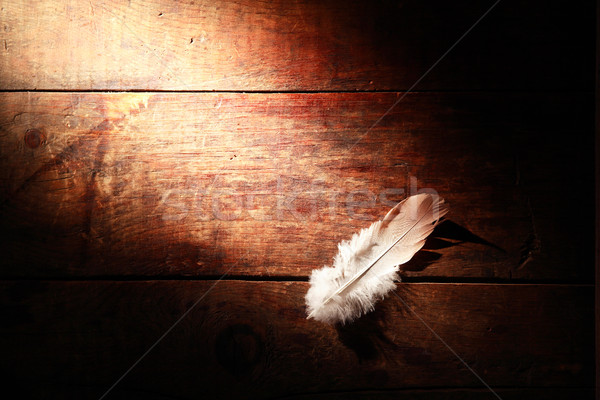 Feather On Wood Stock photo © cosma