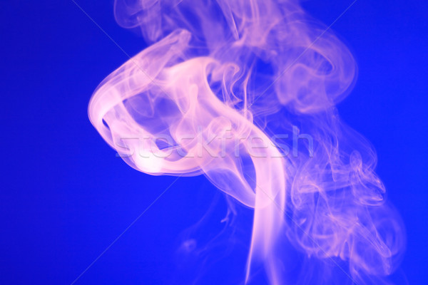 Pink Smoke On Blue Stock photo © cosma