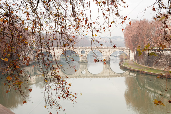 Foto stock: Río · hojas · de · otoño · ramita · antigua · puente · Roma