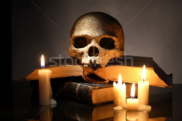 Skull On Books Stock photo © cosma