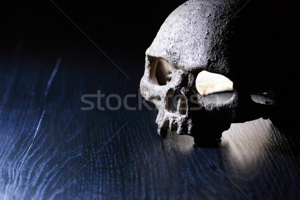 Skull On Dark Stock photo © cosma