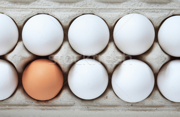 яйца окна толерантность один коричневый яйцо Сток-фото © cosma