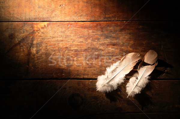 Feather On Wood Stock photo © cosma