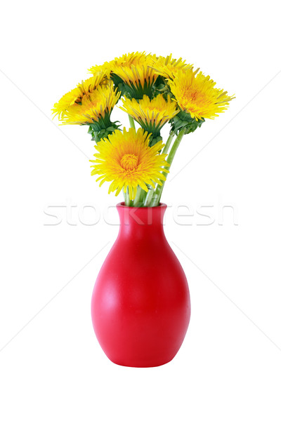 Pitypangok váza köteg citromsárga szép piros Stock fotó © cosma