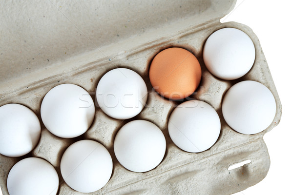 Huevos cuadro tolerancia uno marrón huevo Foto stock © cosma