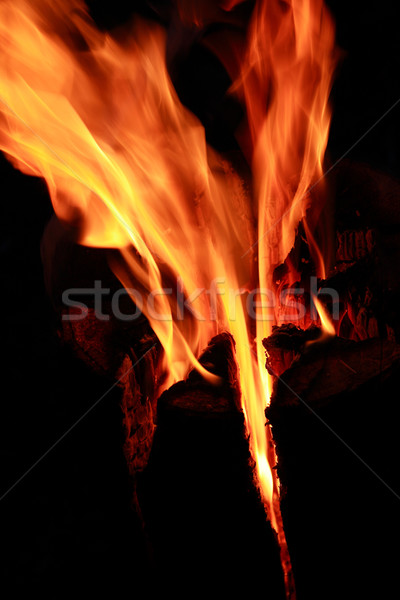 Fire Flame Stock photo © cosma
