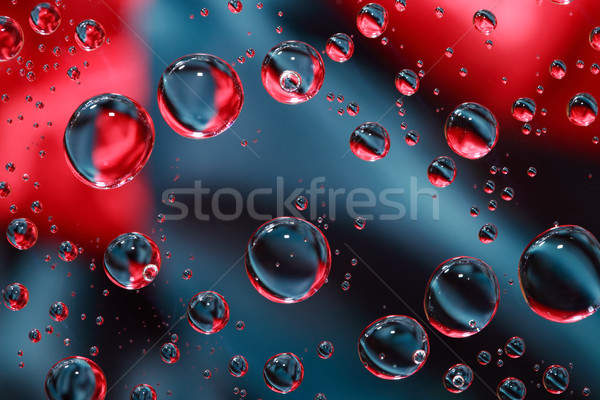 Red And Black Stock photo © cosma