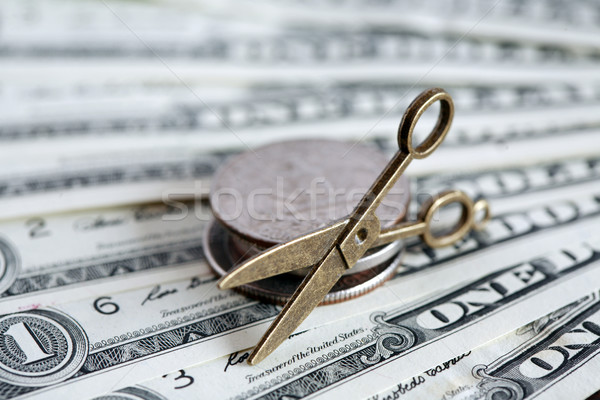 Infláció kicsi olló USA pénz üzlet Stock fotó © cosma