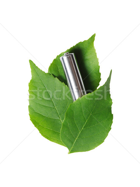 Battery On Leaves Stock photo © cosma