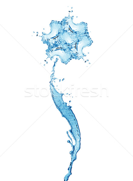 Water Flower Stock photo © cosma