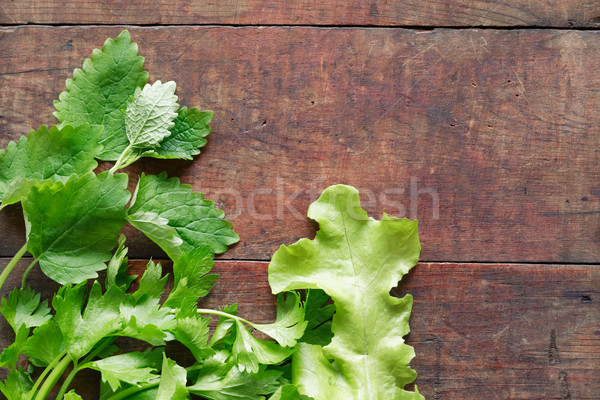 Foto d'archivio: Prezzemolo · legno · freschezza · verde · insalata · foglie