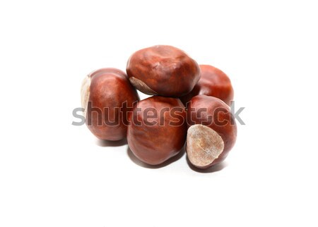 Chestnuts On White Stock photo © cosma