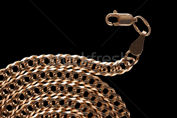 Gold Chain Stock photo © cosma