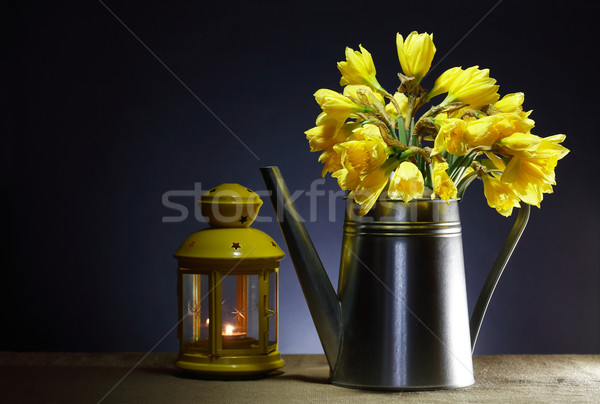 Natura moarta stropitoare galben narcisă galbenă flori metal Imagine de stoc © cosma