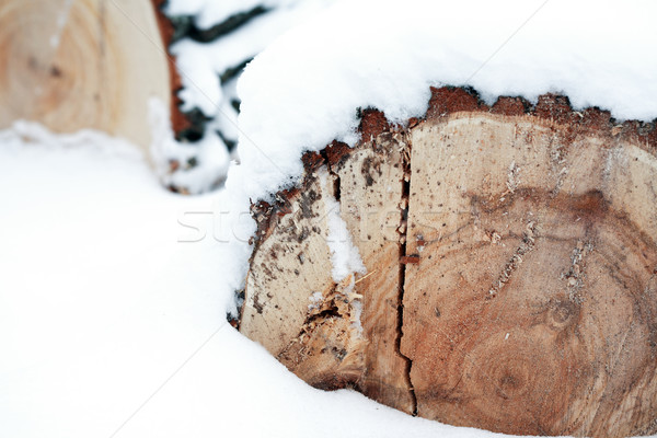 Timber In Snow Stock photo © cosma