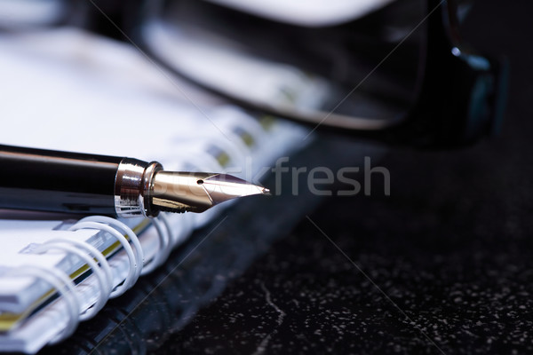 Penna stilografica notebook primo piano nice open Foto d'archivio © cosma