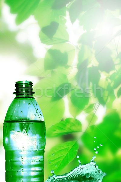 Bouteille eau minérale vert nature forêt fitness [[stock_photo]] © cosma