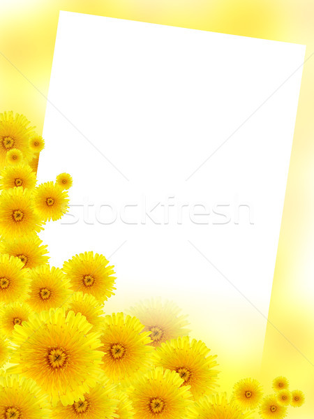 Dandelions Greeting Card Stock photo © cosma