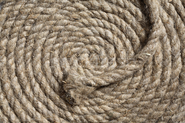 Coil Of Rope Stock photo © cosma