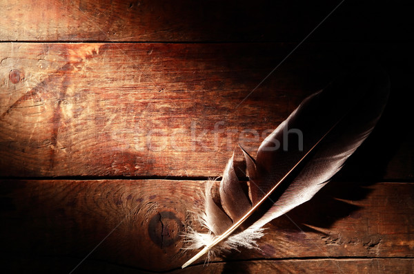 Feather On Wood Stock photo © cosma