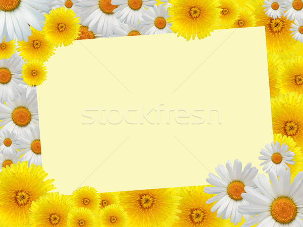 Flowers Greeting Card Stock photo © cosma