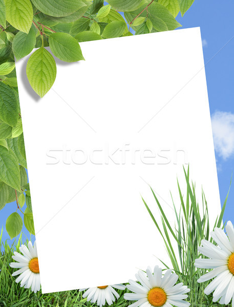 Ecology Greeting Card Stock photo © cosma