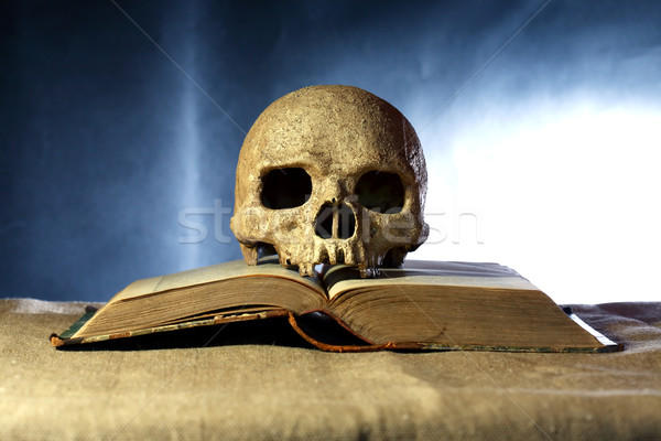 Skull On Book Stock photo © cosma