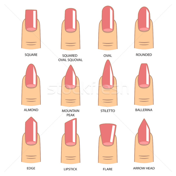 Stock photo: Set of different shapes of nails on white. Nail shape icons. Man