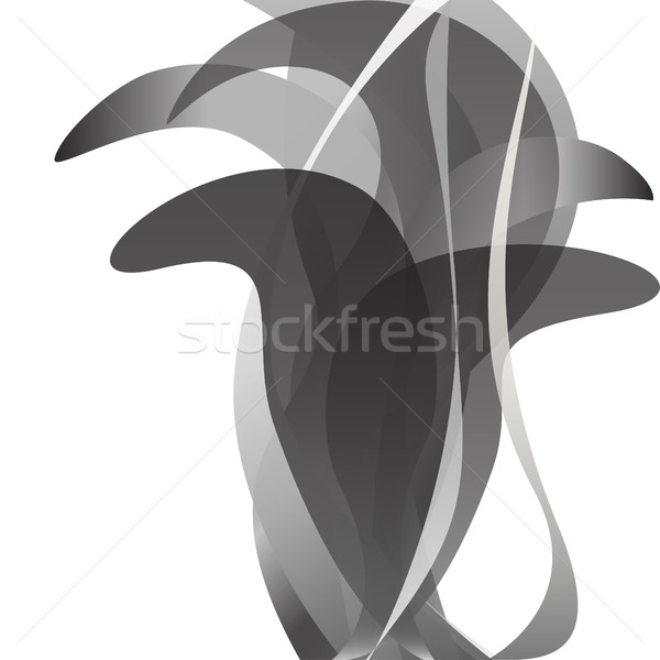 Negru alb floare izolat lumina primăvară abstract Imagine de stoc © cosveta