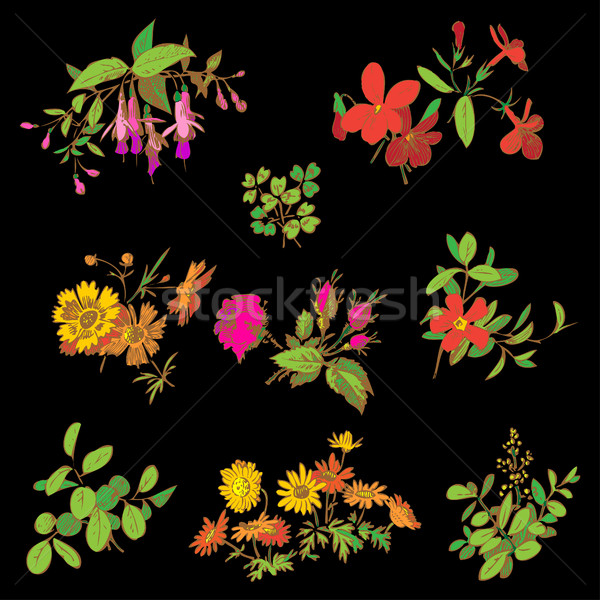 Foto stock: Pradera · flor · hoja · establecer · vector · aislado