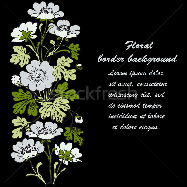 Floral bush retro on black background vector, hand drawn decorat Stock photo © cosveta
