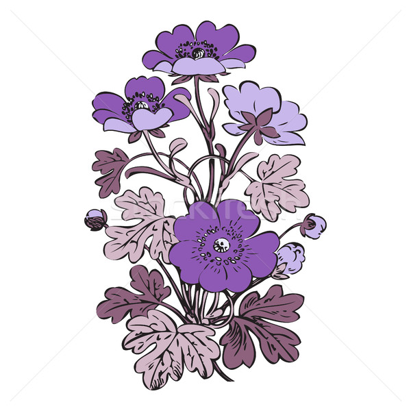 Floral bush retro on white background vector, hand drawn decorat Stock photo © cosveta