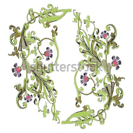 Stock foto: Hand · gezeichnet · Illustration · Zweig · Blumen · Blätter · Barock