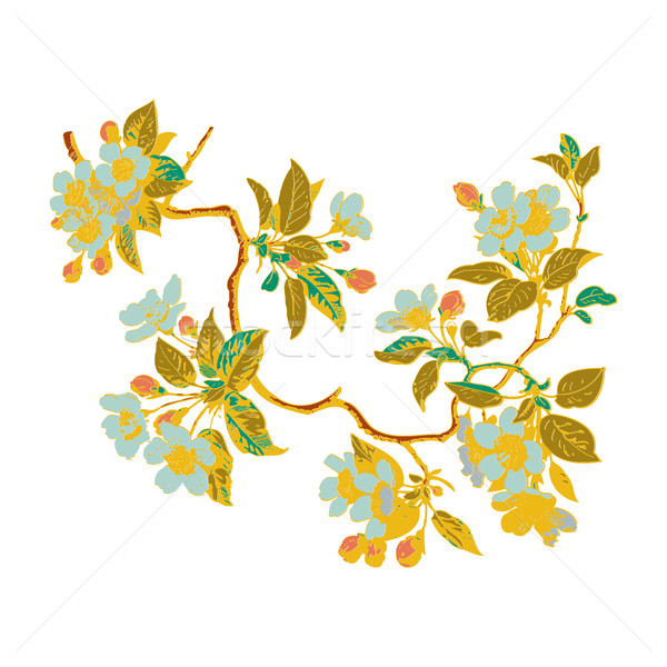 Colorful Botanical branches with leaves and flowers on white bac Stock photo © cosveta
